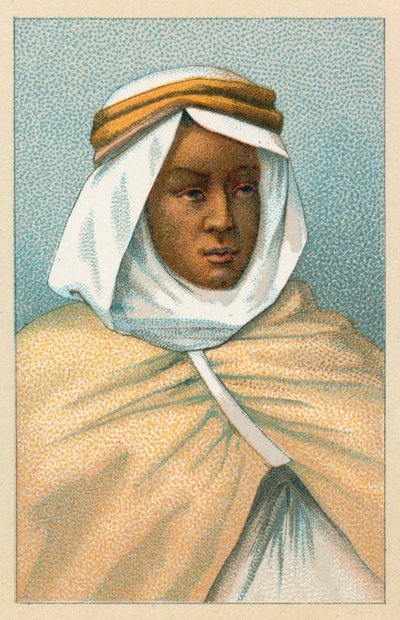 Fantasia de África de French School